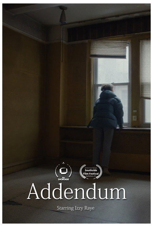 Movie poster for Addendum