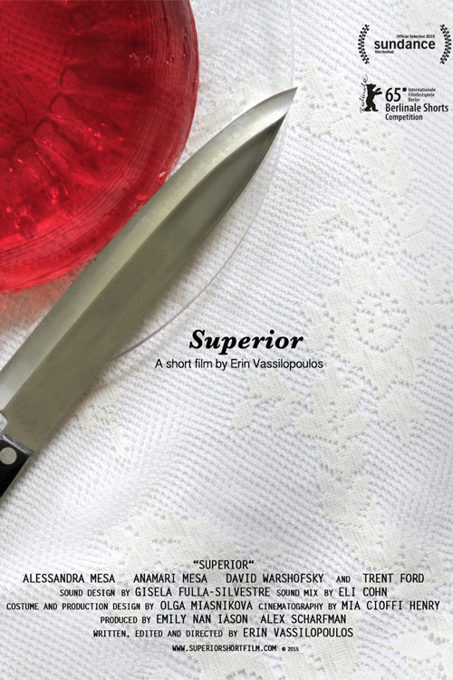 Movie poster for Superior (2015)