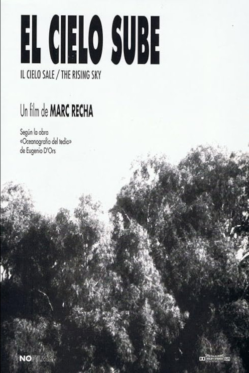 Movie poster for Heaven Rises (1991)