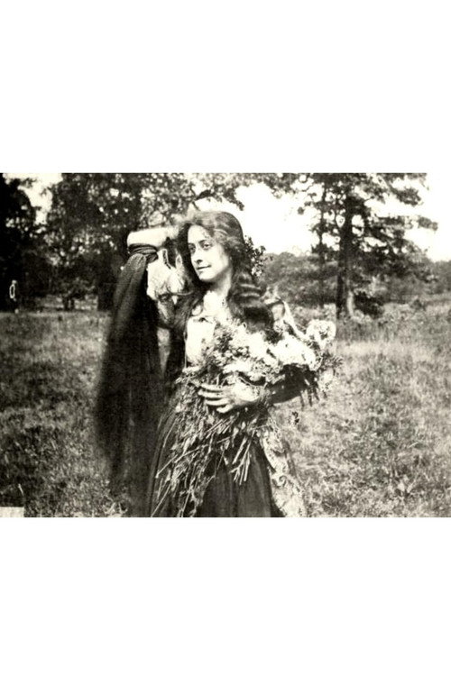 Movie poster for The Little Minister (1913)