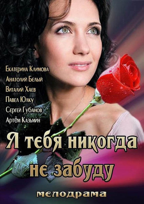Movie poster for I'll Never Forget You (2013)