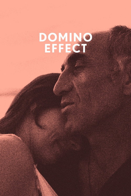 Movie poster for The Domino Effect (2014)
