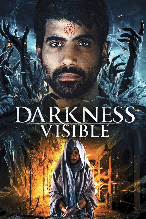 Movie poster for Darkness Visible (2019)