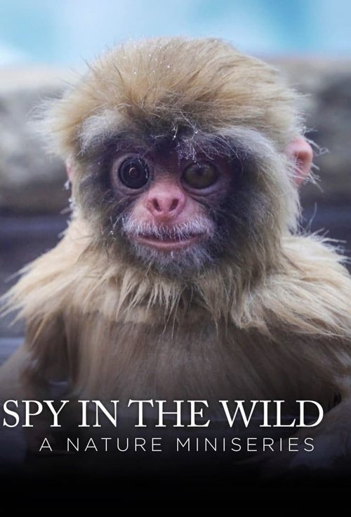 Series poster for Spy in the Wild (2017)