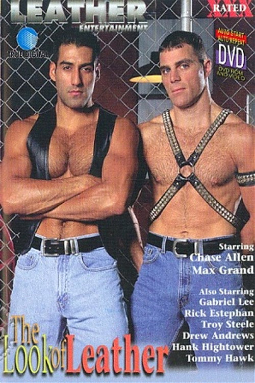 Movie poster for The Look of Leather