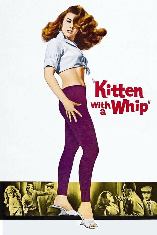 Movie poster for Kitten with a Whip (1964)
