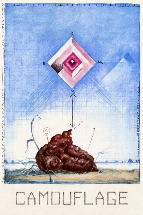 Movie poster for Camouflage (1977)