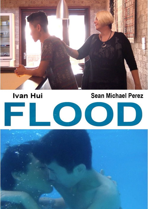Movie poster for Flood