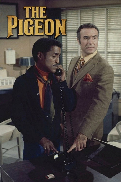 Movie poster for The Pigeon (1969)