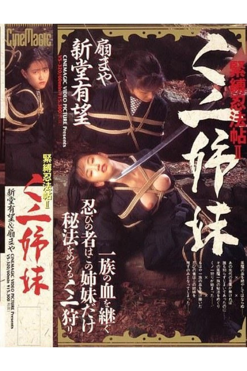 Movie poster for Ninja Bondage Chronicle 2: Ninja Sisters (1994)