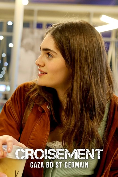 Croisement Gaza - Boulevard Saint-Germain poster
