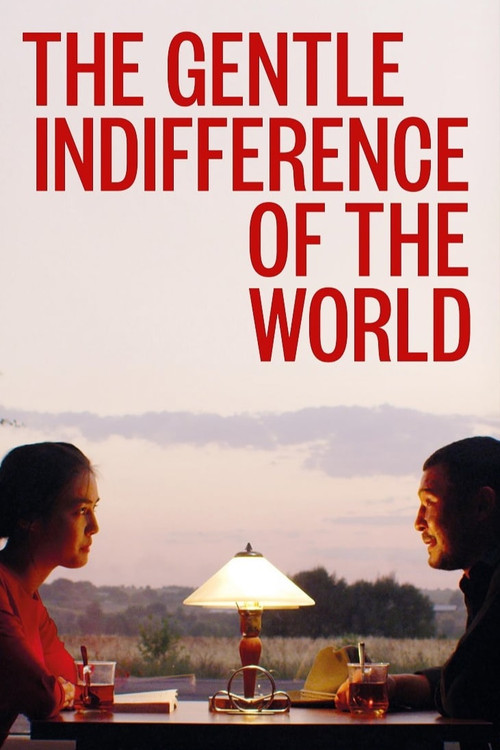 Movie poster for The Gentle Indifference of the World (2018)