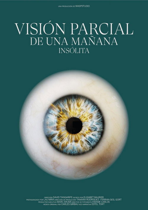 Movie poster for Visión Parcial de una Mañana Insólita (2023)