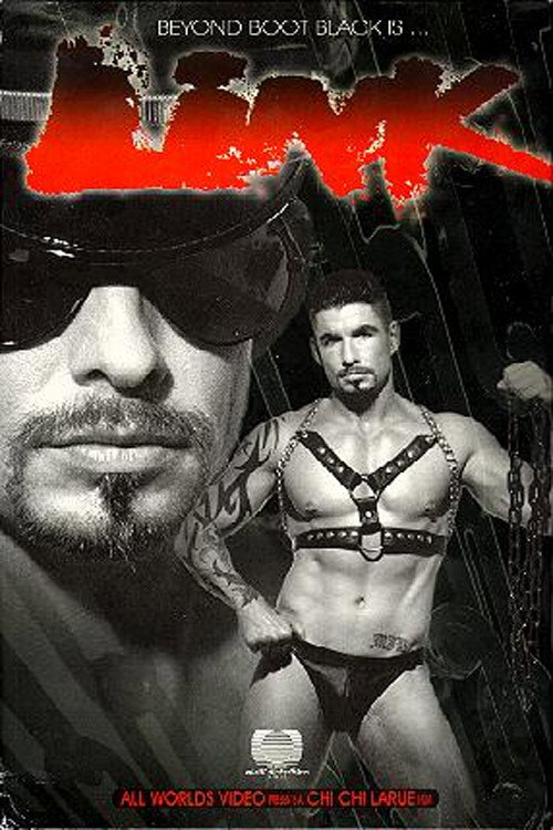 Movie poster for Link (1998)