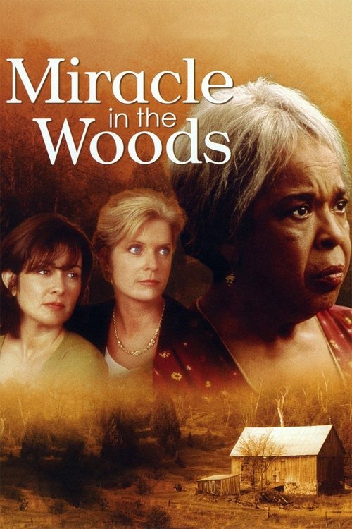 Movie poster for Miracle in the Woods (1997)