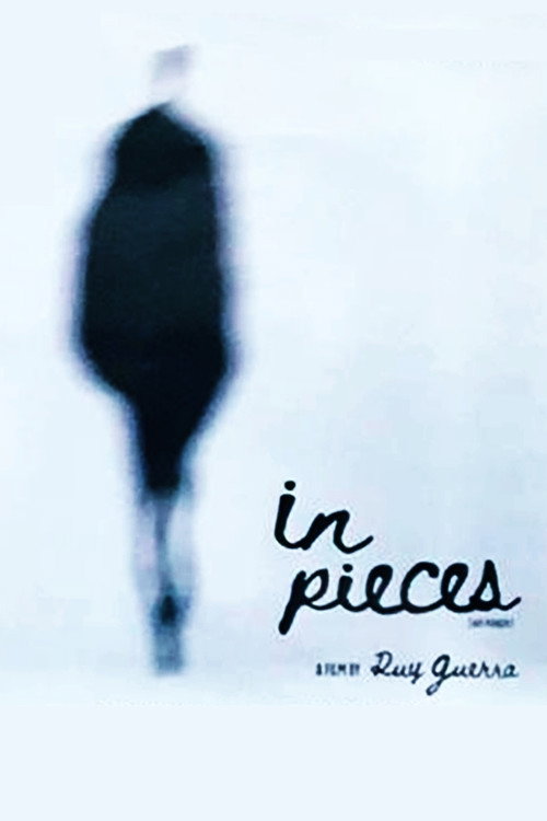 Movie poster for In Pieces (2025)
