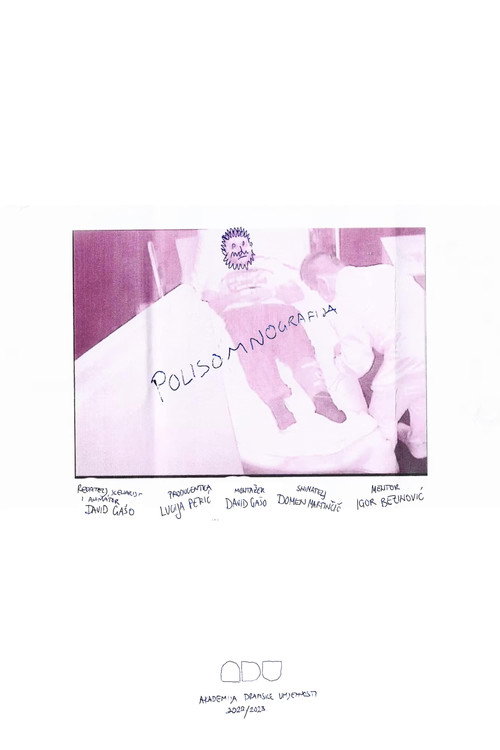 Movie poster for Sleep Study (2024)
