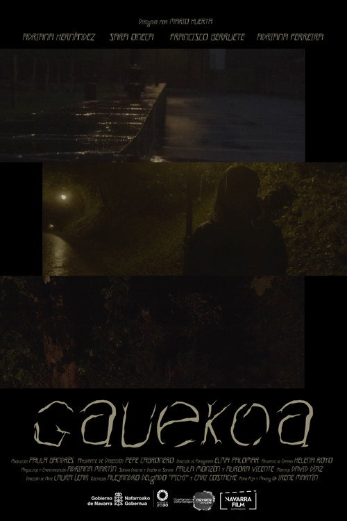 Movie poster for Gauekoa (2024)