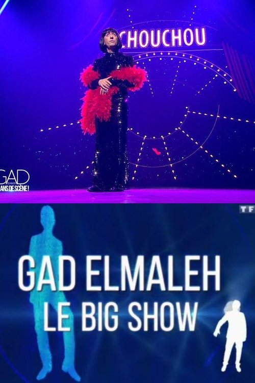 Movie poster for Gad Elmaleh - Le Big Show (2015)