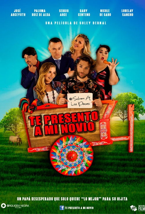 Movie poster for Te presento a mi novio (2019)