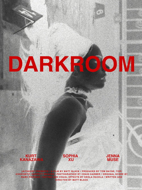 Movie poster for Darkroom (2026)