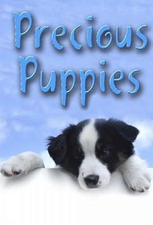 Movie poster for Precious Puppies (2003)