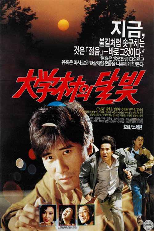 Movie poster for Moonlight in the University Town (1990)