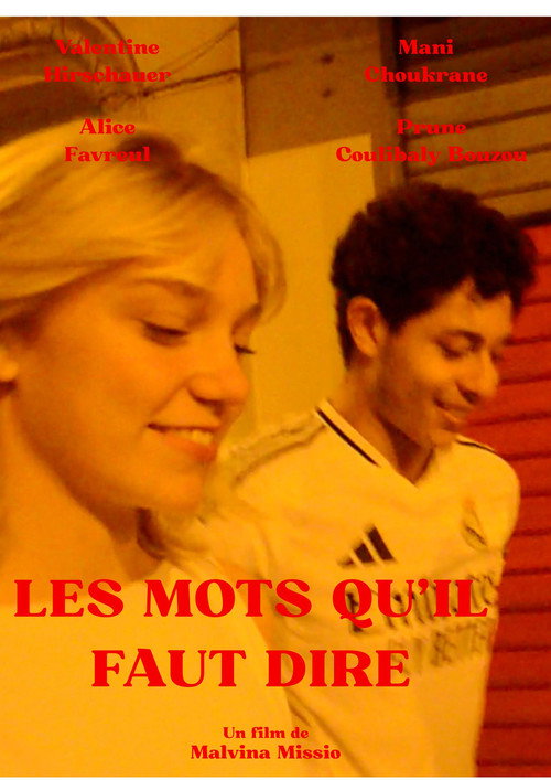 Movie poster for Les mots qu'il faut dire (2025)