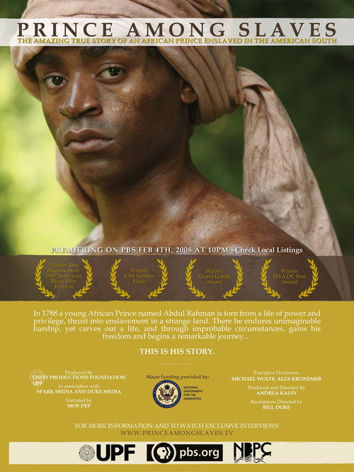 Movie poster for Prince Among Slaves (2008)