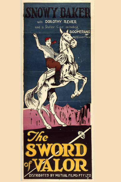 Movie poster for The Sword of Valor (1924)