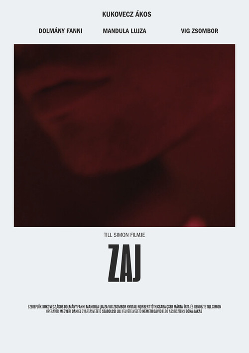 Movie poster for Zaj (2025)