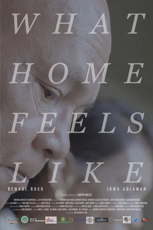 Movie poster for What Home Feels Like (2017)