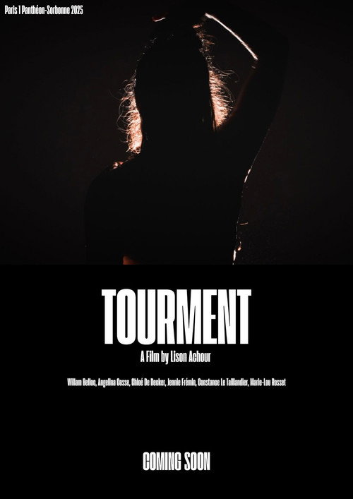 Movie poster for Tourment