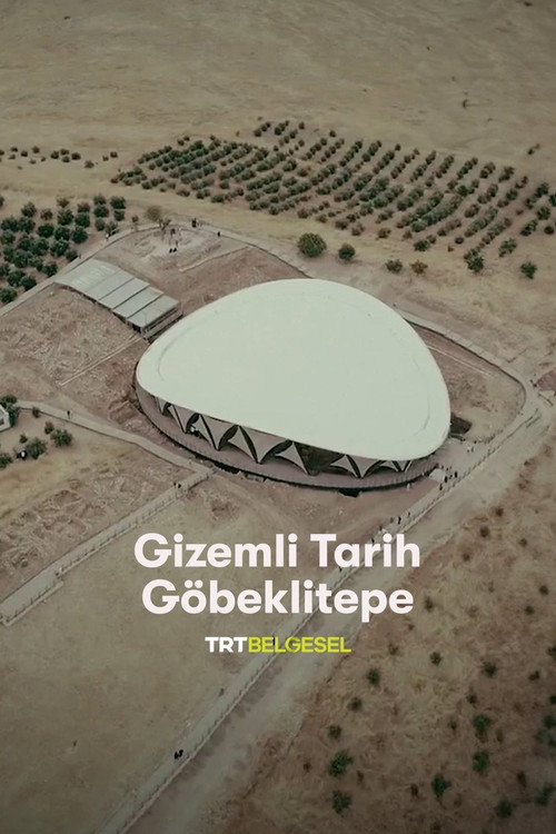 Movie poster for Gizemli Tarih: Göbeklitepe (2019)