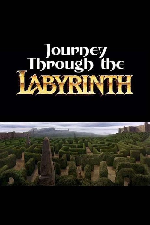 Movie poster for Journey Through the Labyrinth (2007)