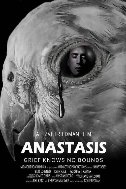 Movie poster for Anastasis (2020)
