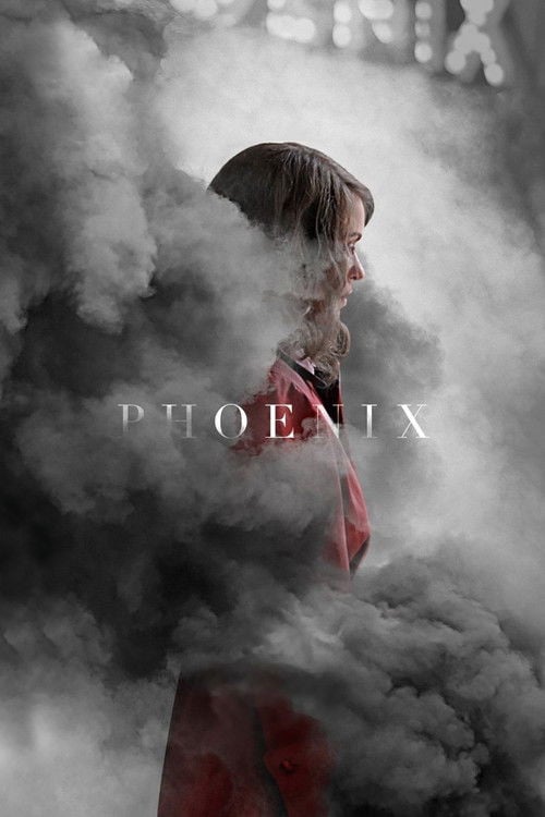 Movie poster for Phoenix (2014)