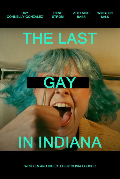 Movie poster for The Last Gay in Indiana