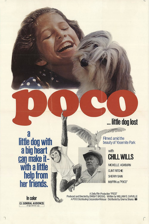 Movie poster for Poco… Little Dog Lost (1977)