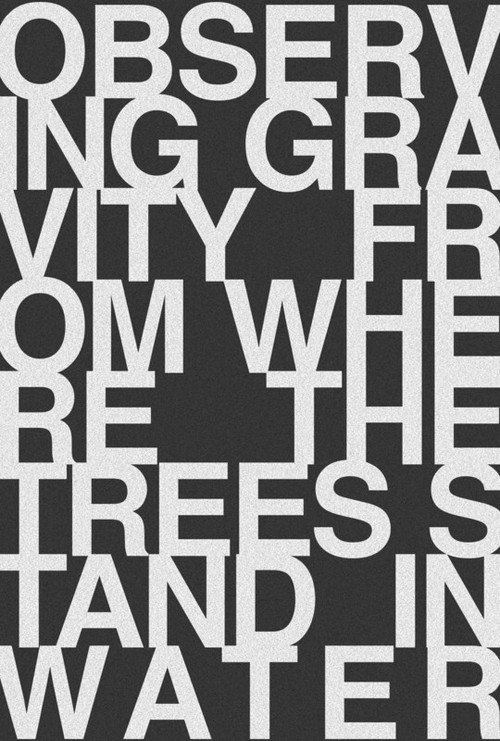 Movie poster for Observing Gravity From Where The Trees Stand In Water (2019)