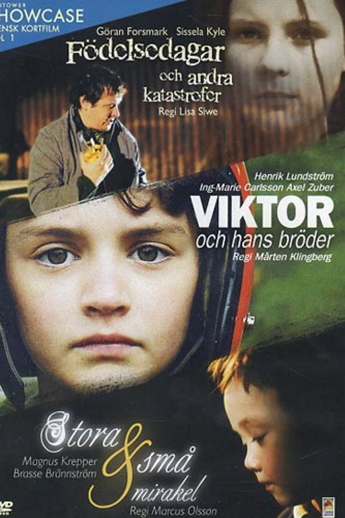 Movie poster for Födelsedagar och andra katastrofer (1999)