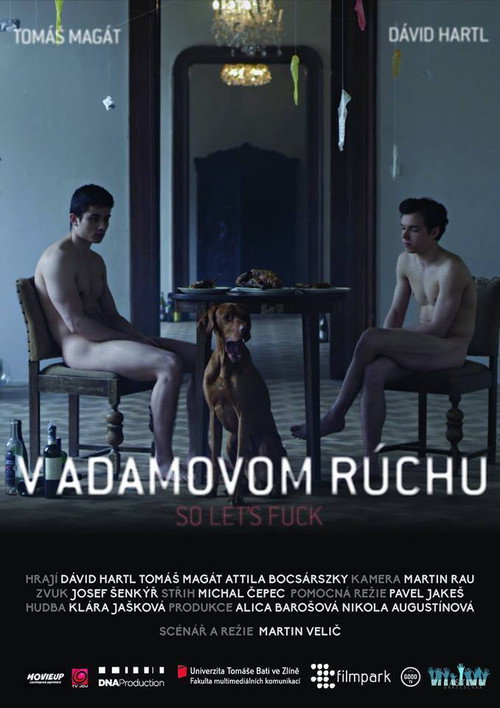 Movie poster for Naked As You Came (2015)