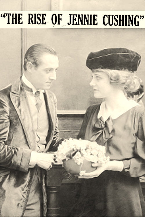 Movie poster for The Rise of Jenny Cushing (1917)