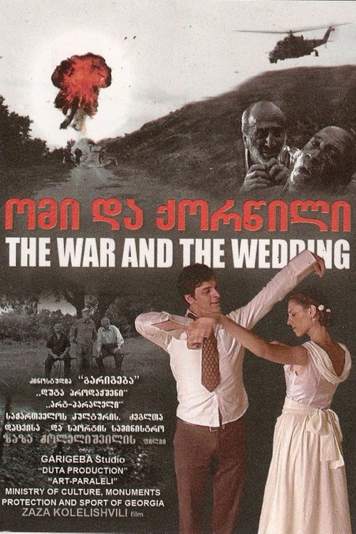 Movie poster for The war and the wedding (2010)