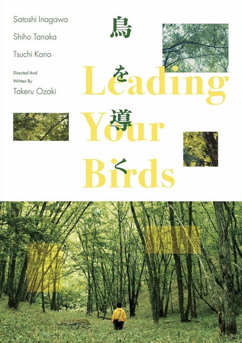Movie poster for Leading Your Birds (2024)