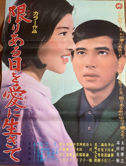 Movie poster for The Suitors (1967)