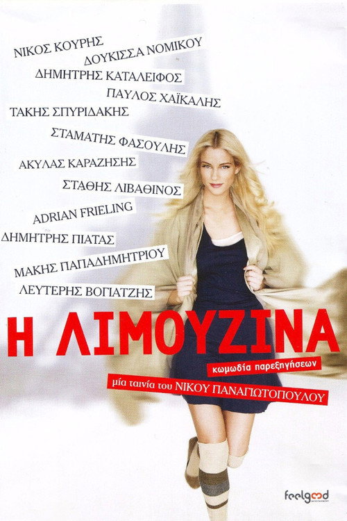 Movie poster for The Limousine (2014)