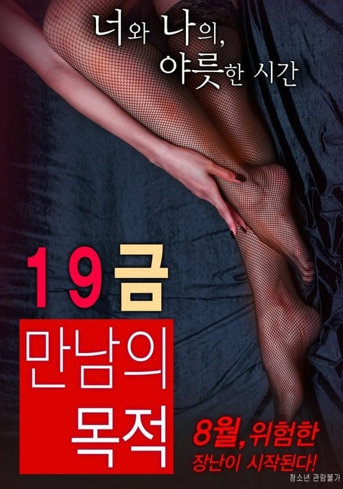 Movie poster for The Purpose of An X-Rated Encounter (2016)