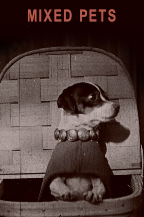Movie poster for Mixed Pets (1911)