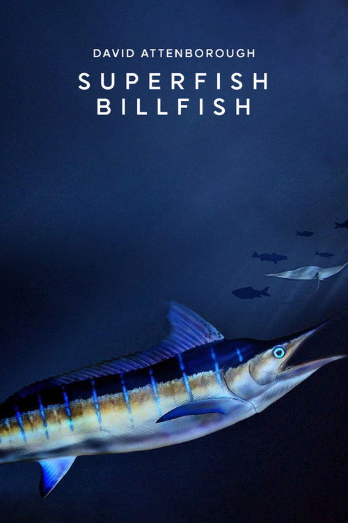 Movie poster for Superfish (2008)